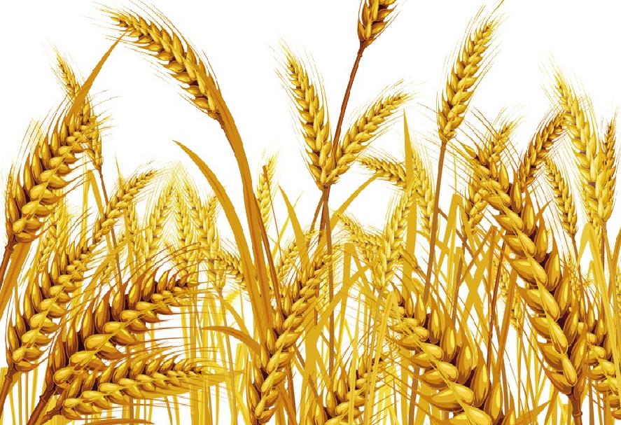 面條行業(yè)的市場現(xiàn)狀與發(fā)展趨勢